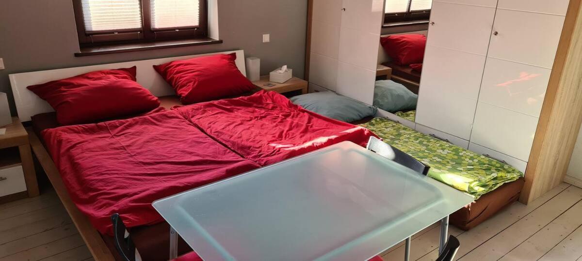Private Room In Our Home With Free Vvo Ticket & Cats Pirna Luaran gambar