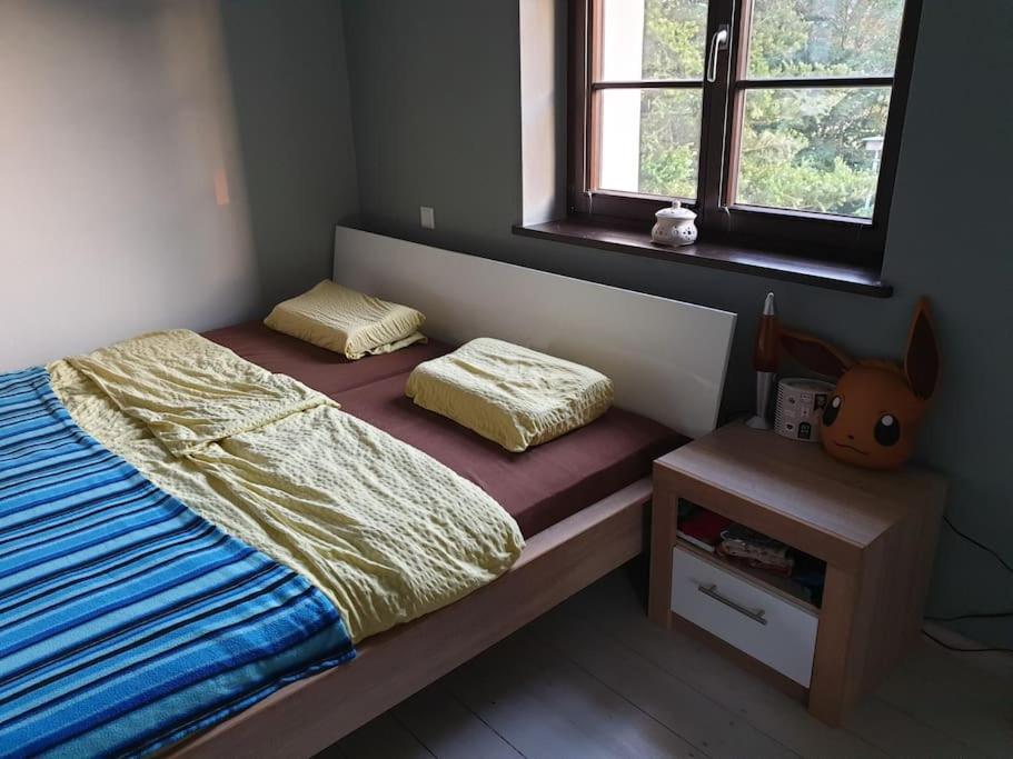 Private Room In Our Home With Free Vvo Ticket & Cats Pirna Luaran gambar
