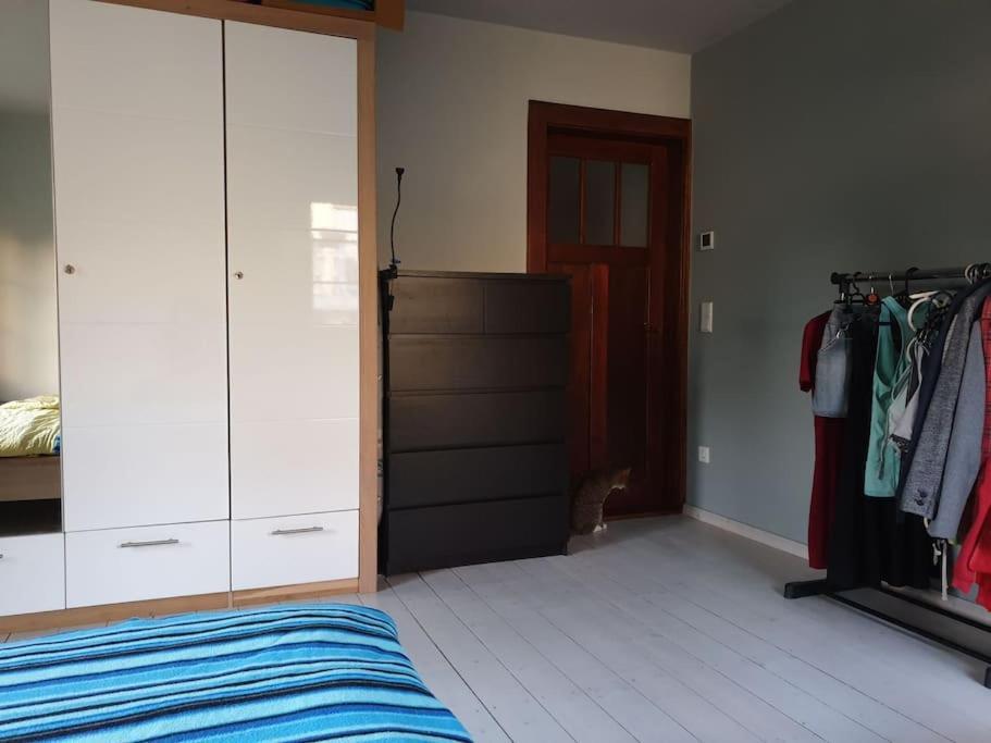 Private Room In Our Home With Free Vvo Ticket & Cats Pirna Luaran gambar