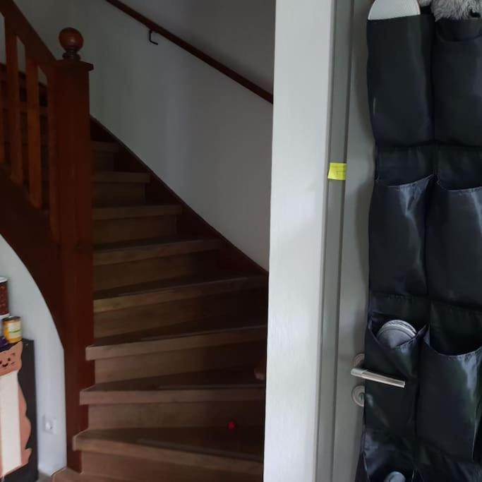 Private Room In Our Home With Free Vvo Ticket & Cats Pirna Luaran gambar