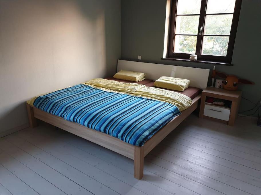 Private Room In Our Home With Free Vvo Ticket & Cats Pirna Luaran gambar