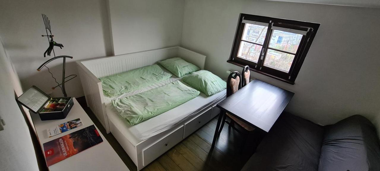 Private Room In Our Home With Free Vvo Ticket & Cats Pirna Luaran gambar